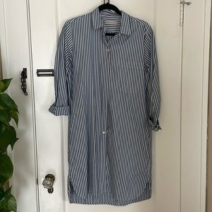 Everlane Shirt Dress